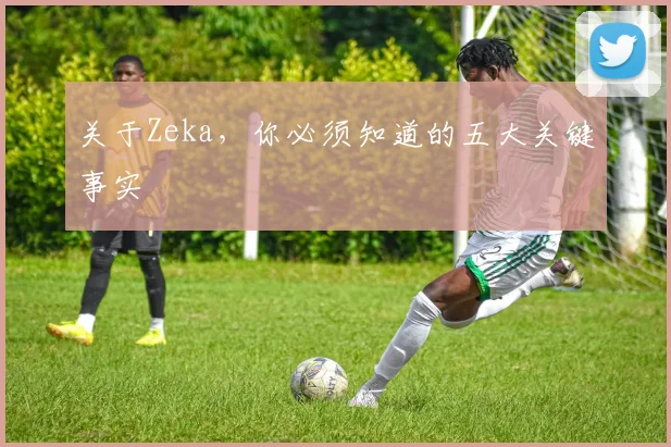 关于Zeka,你必须知道的五大关键事实