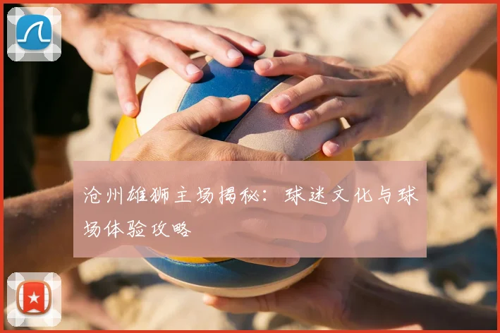 沧州雄狮主场揭秘：球迷文化与球场体验攻略