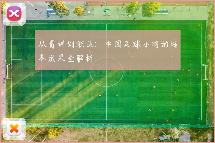从青训到职业:中国足球小将的培养成果全解析