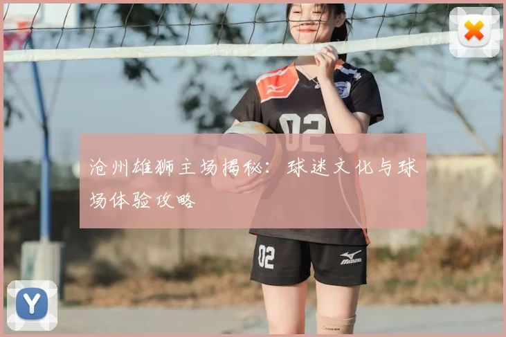 沧州雄狮主场揭秘:球迷文化与球场体验攻略
