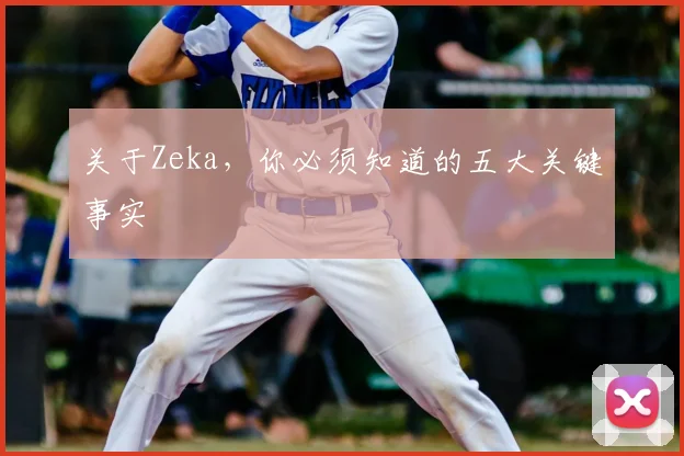 关于Zeka，你必须知道的五大关键事实